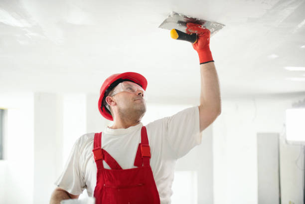 Best Drywall Removal and Disposal  in Murrieta, CA